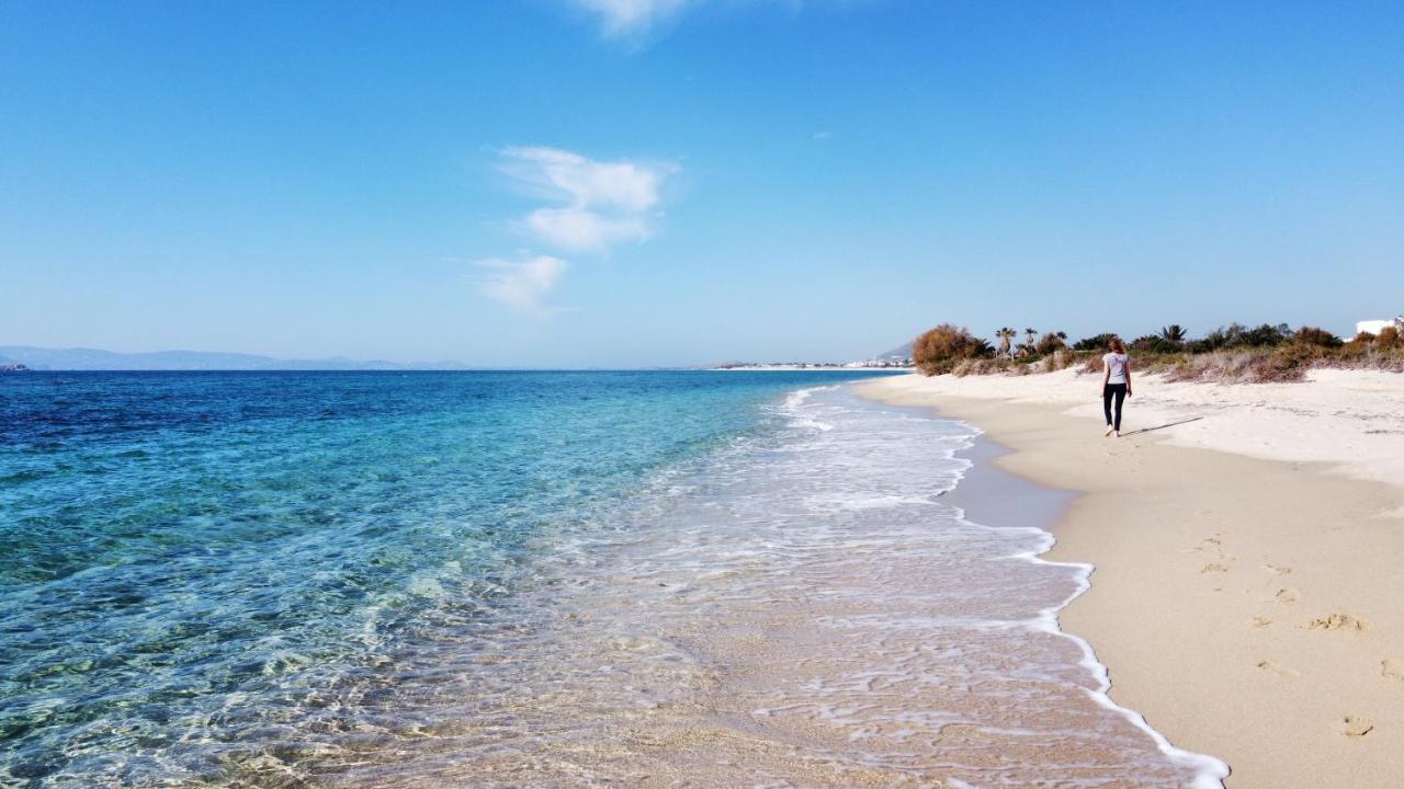 Studios Vrettos Beachfront Hotel Πλάκα Εξωτερικό φωτογραφία